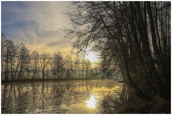 Uferlandschaft Schwackenreuter Seen in der Morgensonne 9138