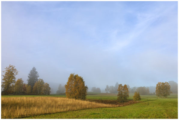 Landschaft im Irndorfer Hardt 7892