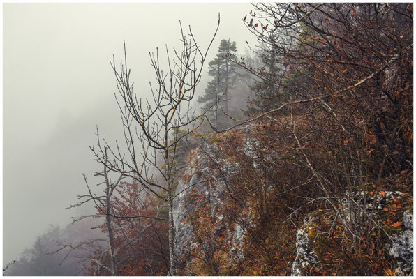 Blick vom Stiegelesfels 0148