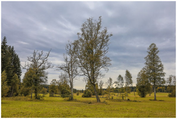 Landschaft im Irndorfer Hardt 8620