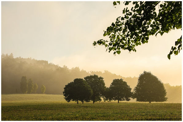 Sommerlandschaft beim Hofgut Dauenberg 0589