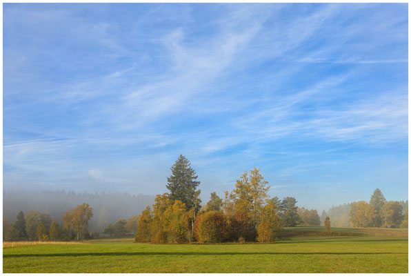Herbst im Irndorfer Hardt 7918