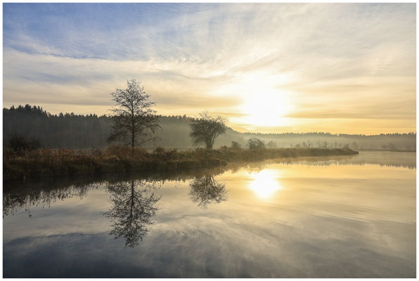 Uferlandschaft Schwackenreuter Seen am Morgen 9119