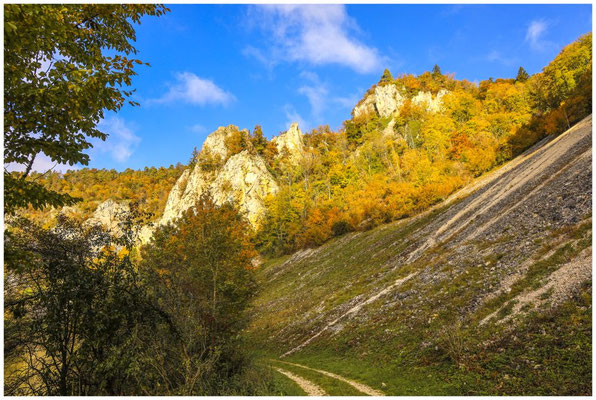 Wanderweg entlang der Donau 8210