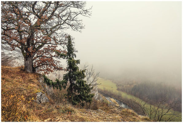 Blick vom Aussichtspunkt Burgstall ins Donautal 0302