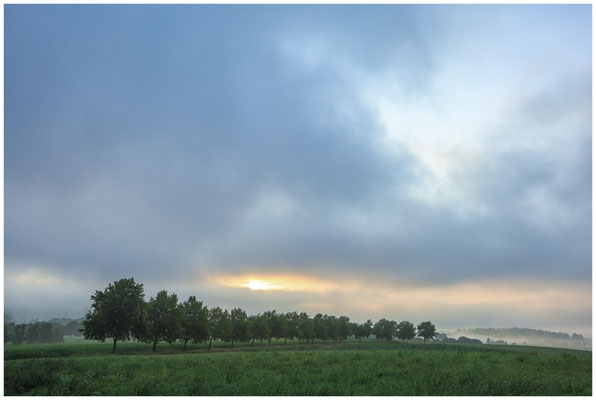 Morgenstimmung bei Eigeltingen-Homberg 0466
