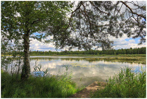Uferlandschaft Riedsee mit Steg 6175