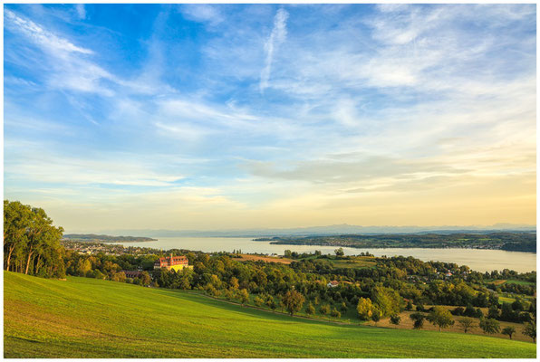 Blick auf den Überlinger See und Schloss Spetzgart  7800