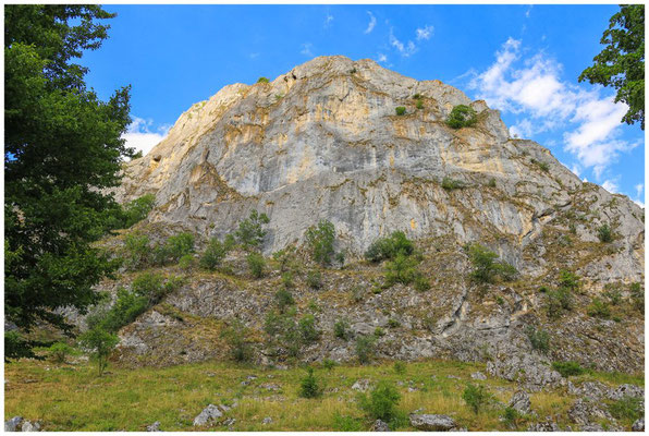Jurakalksteinfelsen im Naturpark Obere Donau 5968
