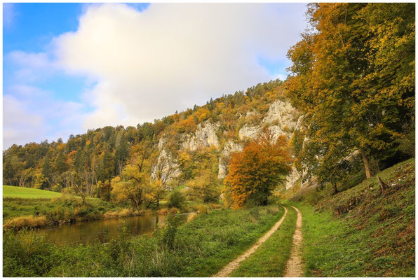 Wanderweg entlang der Donau 8127