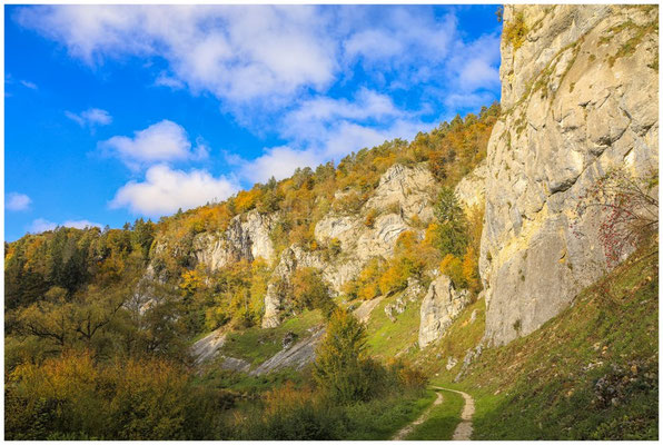 Jurakalksteinfelsen im Donautal 8222