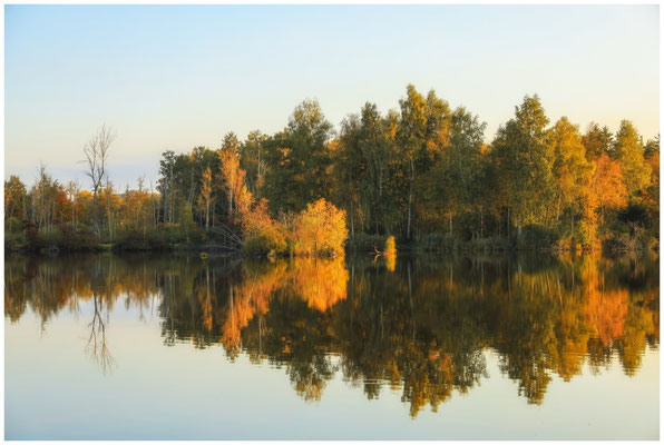 Uferlandschaft Nillsee 8402