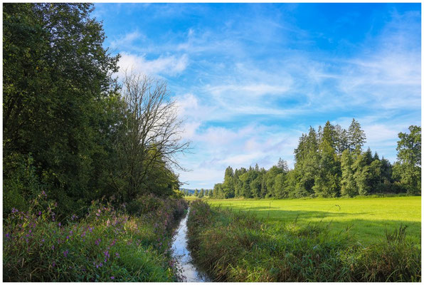 Landschaft bei den Schwackenreuter Seen 7134