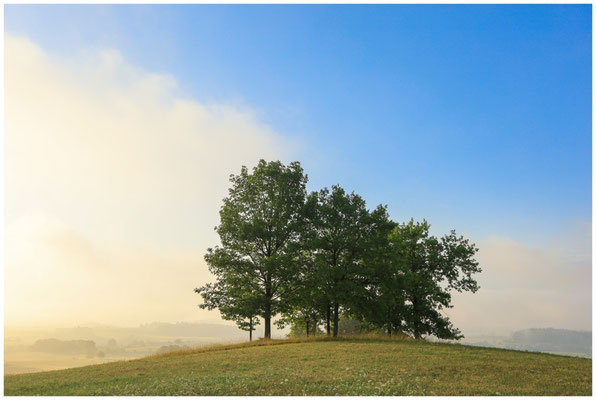 Sommermorgen mit Nebelresten über dem Hegau 0551