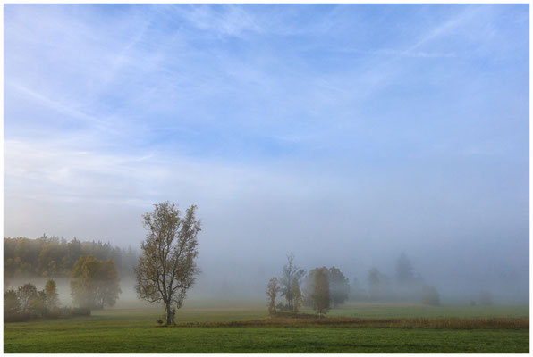 Landschaft Irndorfer Hardt 7844