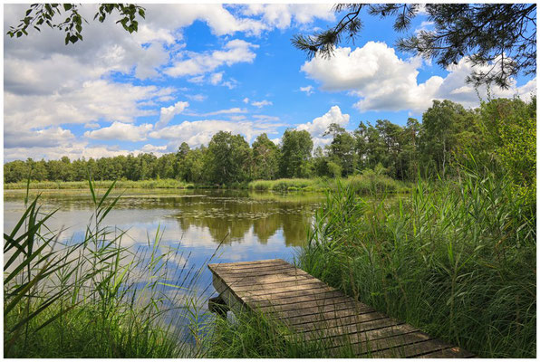 Uferlandschaft Riedsee mit Steg 6181