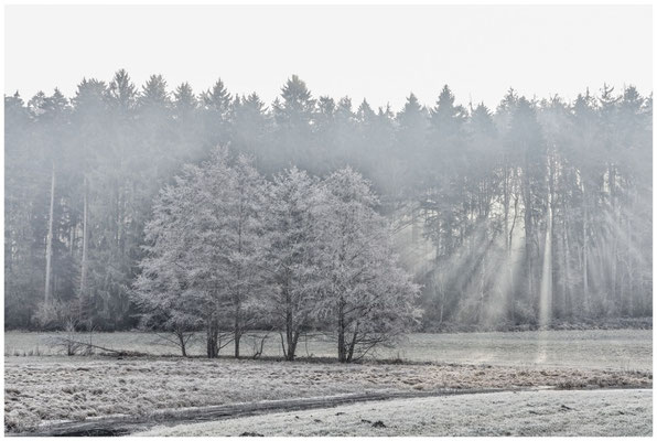 Wintermorgen bei Stockach 9618