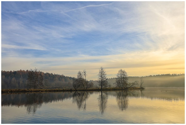 Uferlandschaft Schwackenreuter Seen 9149
