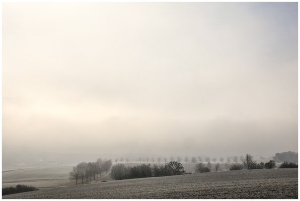 Nebel bei Eigeltingen-Homberg 9673