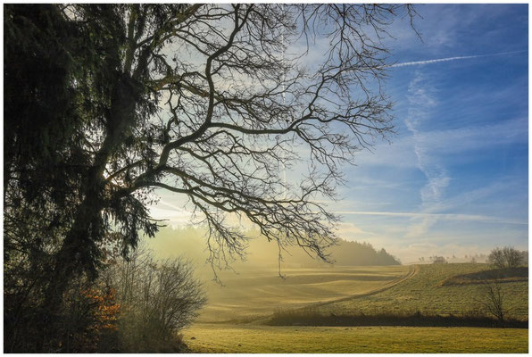 Sonne und Nebel 9613