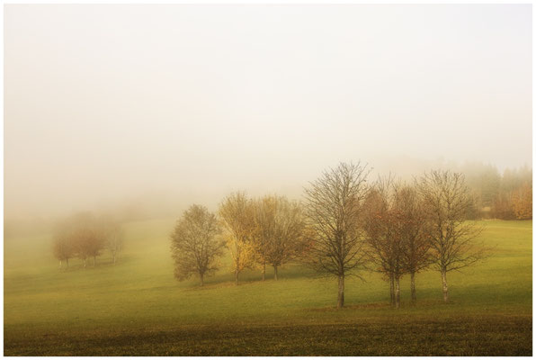 Nebel...und ein wenig Sonne 8923