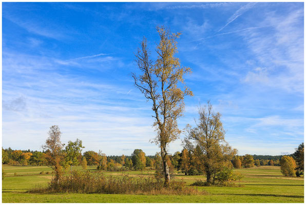 Herbstlandschaft Irndorfer Hardt 8004