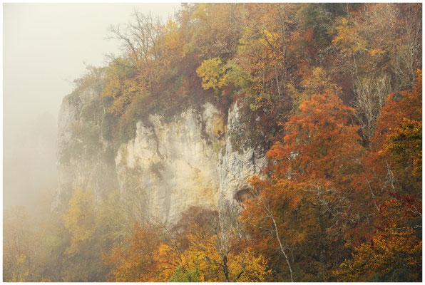 Nebel, buntes Laub und Felsen 8535
