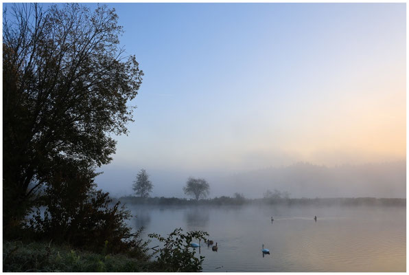Uferlandschaft Schwackenreuter Seen 8686