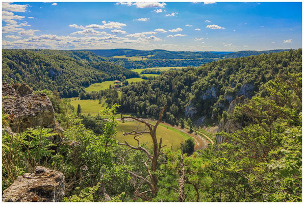 Blick vom Stiegelesfelsen ins Donautal 7869