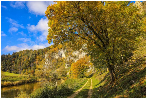Wanderweg entlang der Donau 8212