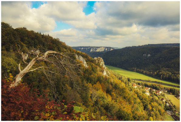 Blick von der Ruine Hausen ins Donautal 8715