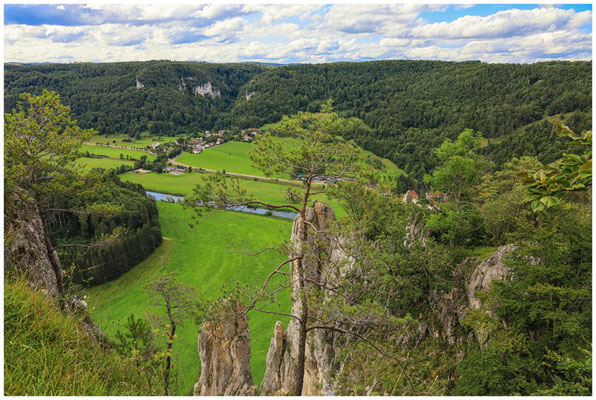 Blick auf Neidingen und die Donau 7993