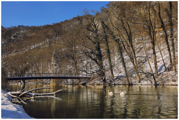 Brücke über die Donau 5787