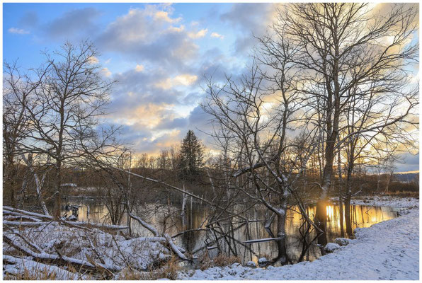 Uferlandschaft Riedsee im Abendlicht 6505