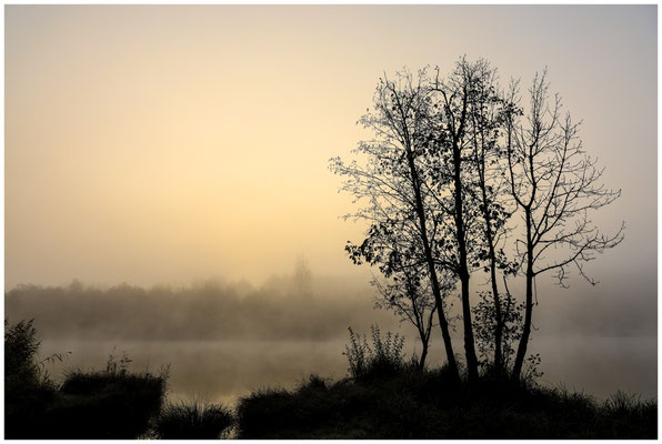 Uferlandschaft Schwackenreuter Seen 8713