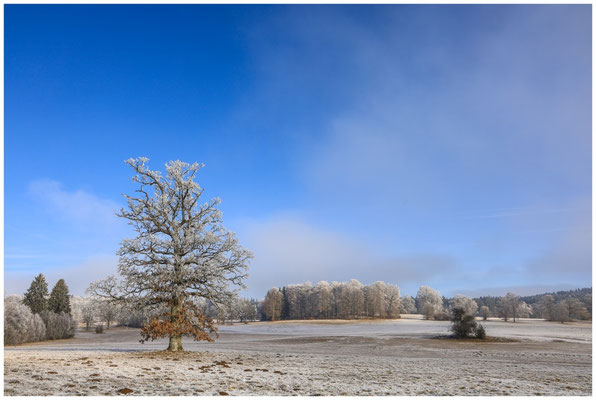 Winterlandschaft Irndorfer Hardt 9524