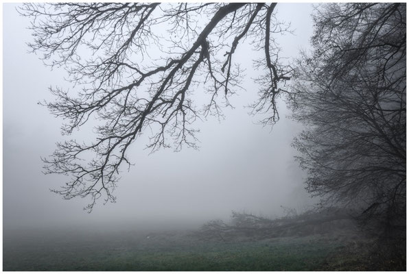Sehr dichter Nebel! 9480