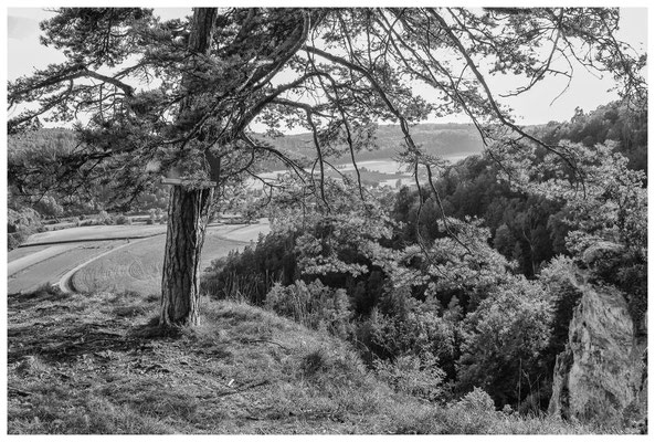 Blick vom Teufelslochfelsen s/w 4284