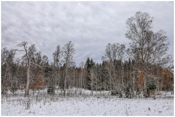 Landschaft im Irndorfer Hardt 5380