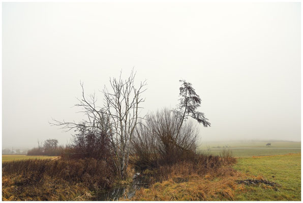 Nebel im Heudorfer Ried 9298