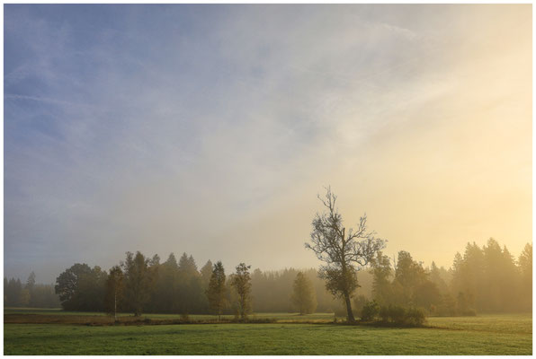 Herbstmorgen im Irndorfer Hardt 7881