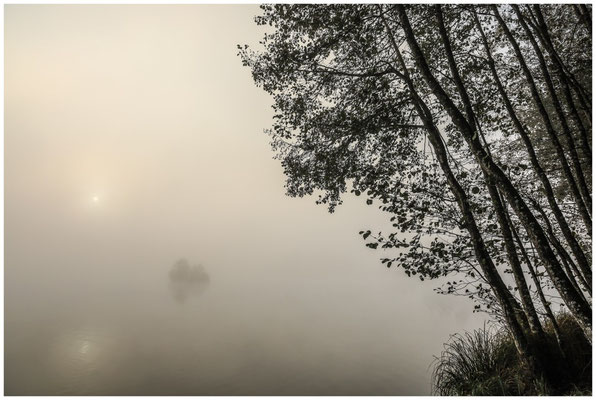 Der Nebel wird dichter...8740