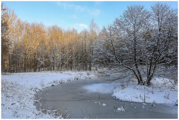 Waldweiher bei Homberg 5944