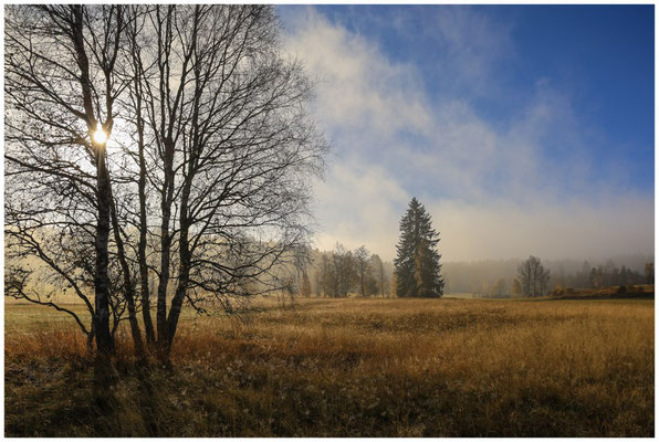 Landschaft im Irndorfer Hardt 9181