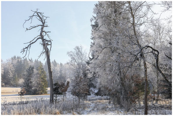 Winterlandschaft Irndorfer Hardt 9597