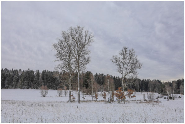 Landschaft im Irndorfer Hardt 5394