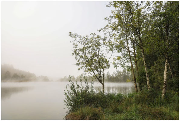 Uferlandschaft Schwackenreuter Seen 7057