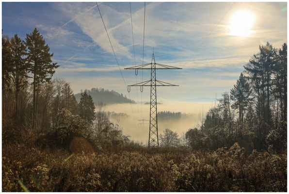 Nebel unterhalb der Ruine Nellenburg bei Stockach 9632
