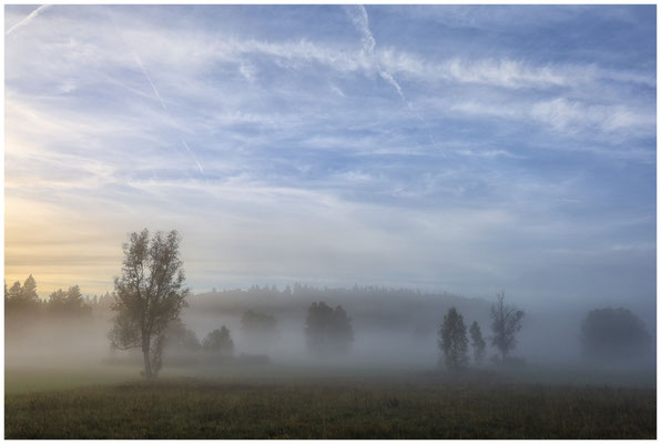 Nebel im Irndorfer Hardt 7799