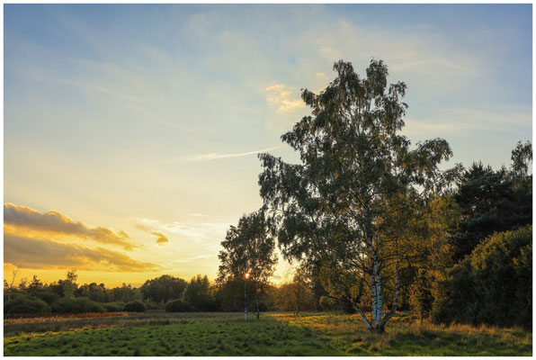 Landschaft Schwenninger Moos im Abendlicht 7727